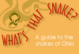 What's That Snake - a guide to the snakes of Ohio