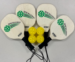 Pickleball game set