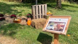 Coshocton StoryWalk in the fall 
