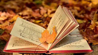 fall leaves on book