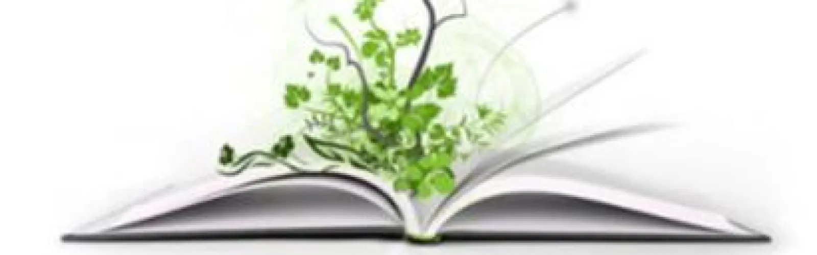 plant growing from book