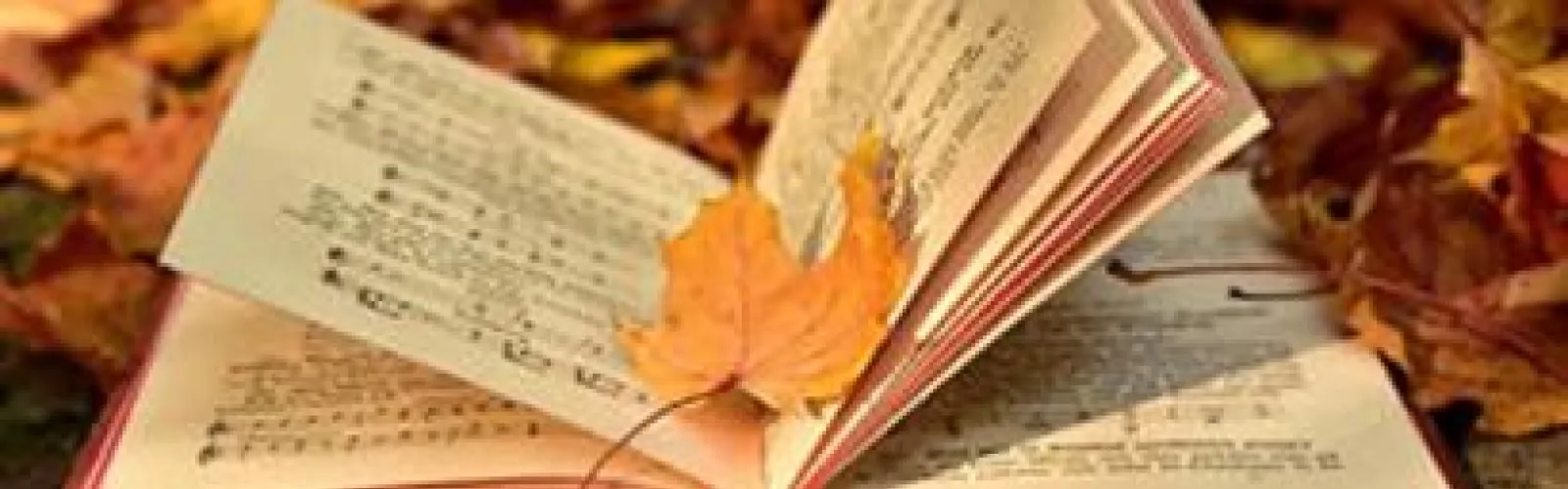 fall leaves on an open book
